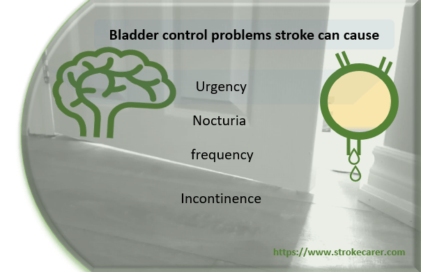 Bladder problems stroke can cause