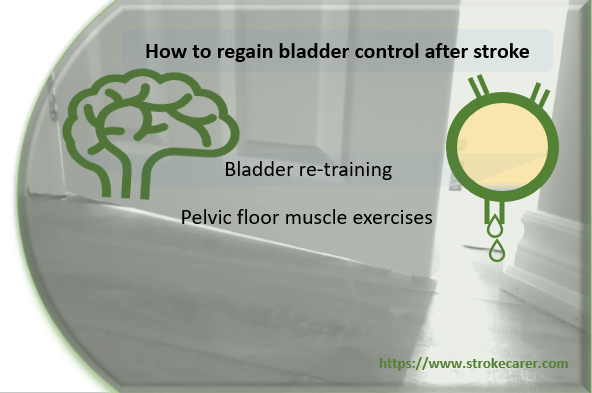 reclaiming bladder control after stroke