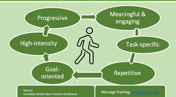 a human walking in the middle surrounded by six basic rules of movement recovery